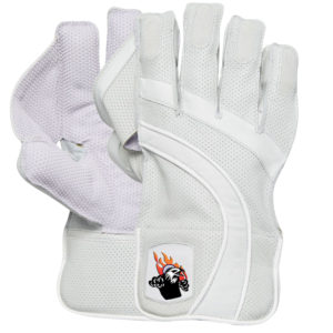 Wicket Keeping Gloves