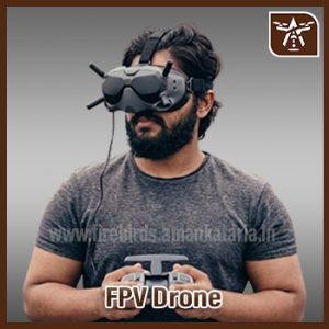 FPV Drone
