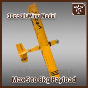 Payload Rc Model 2